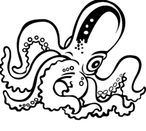 Disegno di polpo da stampare e colorare 7