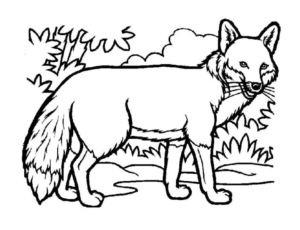 Disegno di volpe da stampare e colorare 67