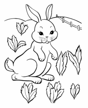 Disegno di coniglio da stampare e colorare 57