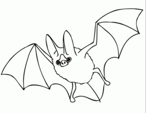 Disegno di pipistrello da stampare e colorare 16