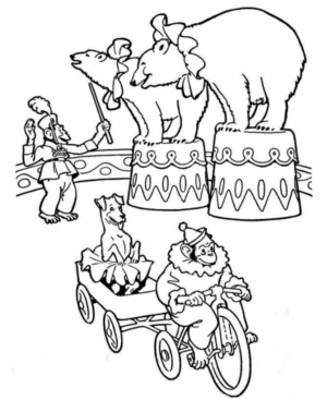 Disegno di circense da stampare e colorare 30
