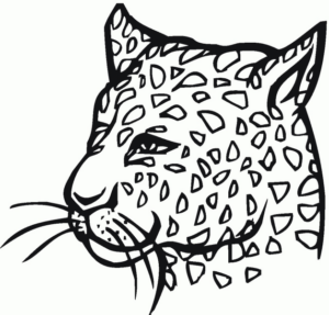Disegno di leopardo da stampare e colorare 31