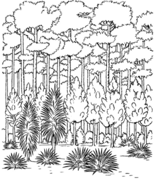 Disegno di paesaggio da stampare e colorare 79