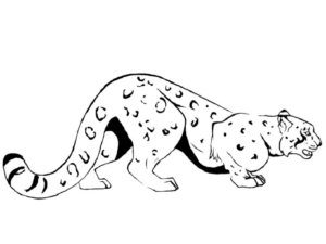 Disegno di leopardo da stampare e colorare 24