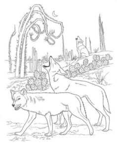 Disegno di lupo da stampare e colorare 14
