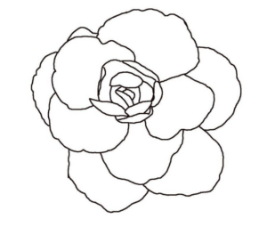 Disegno di fiore da stampare e colorare 163