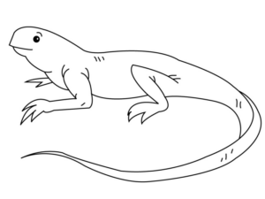 Disegno di lucertola da stampare e colorare 1