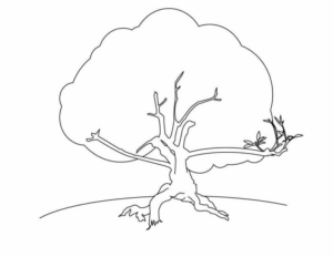 Disegno di albero da stampare e colorare 126