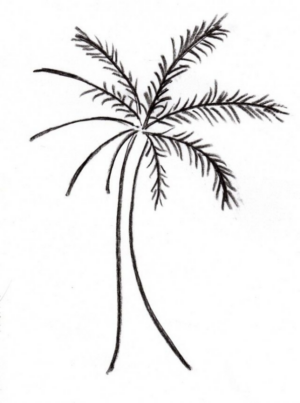 Disegno di albero da stampare e colorare 15
