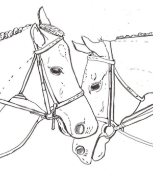 Disegno di cavallo da stampare e colorare 26