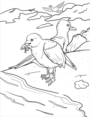 Disegno di colomba da stampare e colorare 33