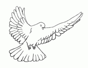 Disegno di colomba da stampare e colorare 7