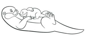 Disegno di lontra da stampare e colorare 16
