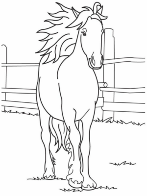 Disegno di cavallo da stampare e colorare 221