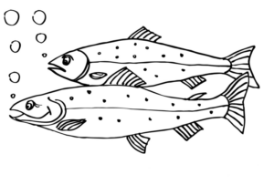 Disegno di pesce da stampare e colorare 179