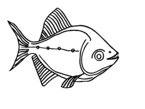 Disegno di pesce da stampare e colorare 24