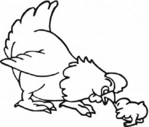 Disegno di gallina da stampare e colorare 35