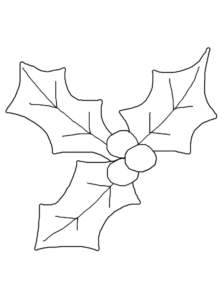 Disegno di pungitopo da stampare e colorare 7