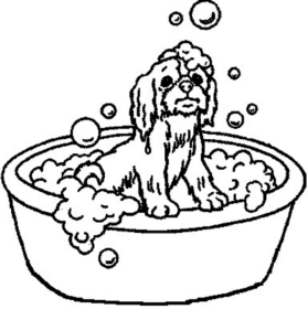 bagno33813.jpg