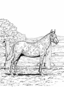 Disegno di cavallo da stampare e colorare 230