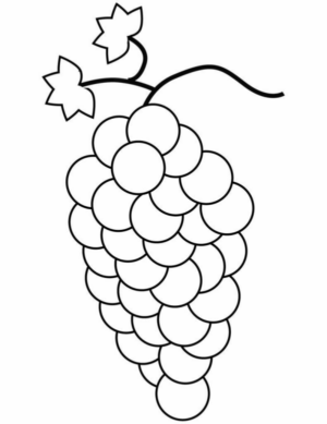 Disegno di uva da stampare e colorare 35