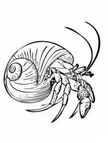 Disegno di paguro da stampare e colorare 1