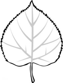 Disegno di foglia da stampare e colorare 8