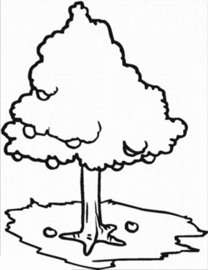 Disegno di albero da frutta da stampare e colorare 8