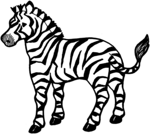 Disegno di zebra da stampare e colorare 14