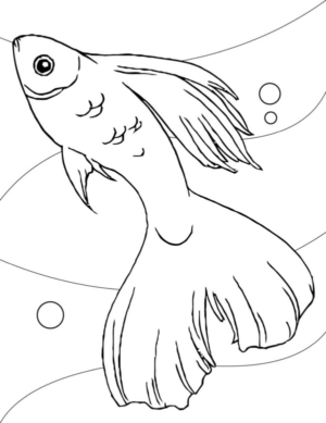 Disegno di pesce da stampare e colorare 157
