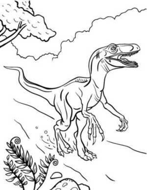 Disegno di Velociraptor da stampare e colorare 13