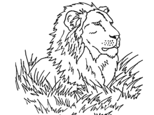 Disegno di leone da stampare e colorare 20