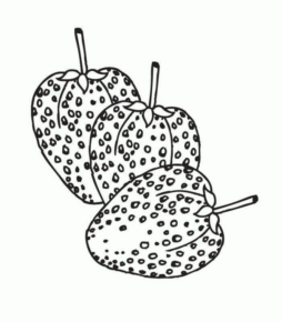 Disegno di fragola da stampare e colorare 21