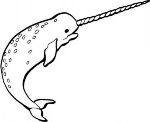 Disegno di narvalo da stampare e colorare 8