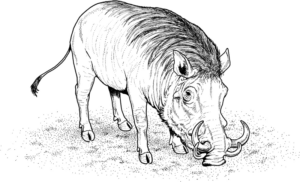 Disegno di maiale da stampare e colorare 10