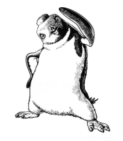 Disegno di pinguino da stampare e colorare 35