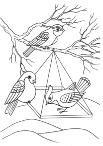 Disegno di passero da stampare e colorare 121