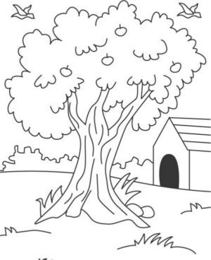 Disegno di albero da frutta da stampare e colorare 16