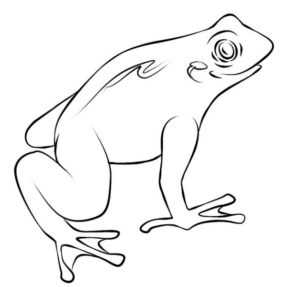 Disegno di rana da stampare e colorare 27