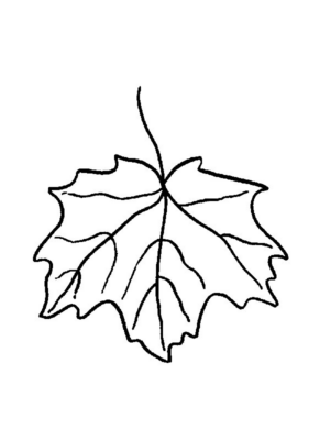 Disegno di foglia da stampare e colorare 139