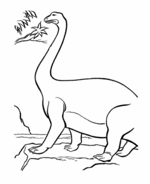 Disegno di Brontosauro da stampare e colorare 37