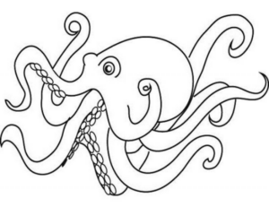 Disegno di polpo da stampare e colorare 16