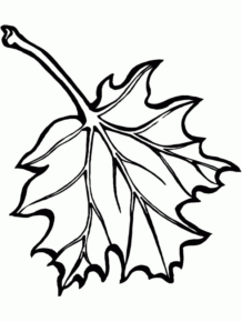 Disegno di foglia da stampare e colorare 208