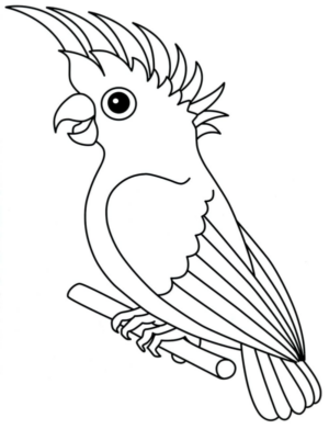 Disegno di pappagallo da stampare e colorare 114