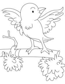 Disegno di passero da stampare e colorare 82