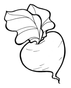 Disegno di rapa da stampare e colorare 5