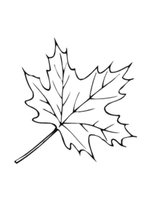 Disegno di foglia da stampare e colorare 142