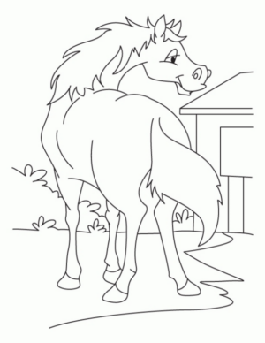 Disegno di cavallo da stampare e colorare 51