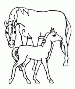 Disegno di cavallo da stampare e colorare 80