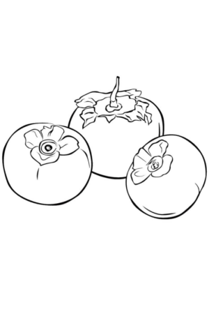 Disegno di cachi da stampare e colorare 2